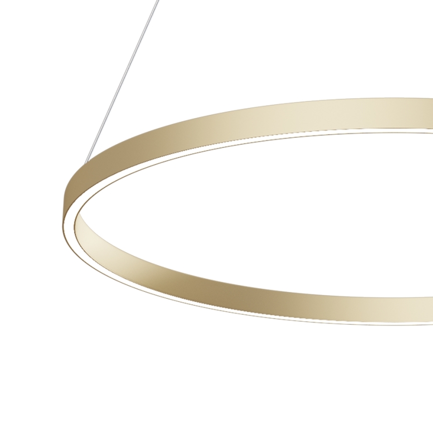 Maytoni MOD058PL-L42BS4K - LED Chandelier on a string RIM LED/51W/230V 4000K d. 80 cm gold