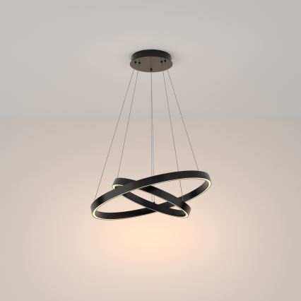 Maytoni MOD058PL-L55B3K - LED Chandelier on a string RIM LED/61W/230V 3000K d. 60 cm black