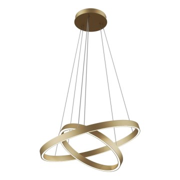 Maytoni MOD058PL-L55BS3K - LED Chandelier on a string RIM LED/61W/230V 3000K d. 60 cm gold