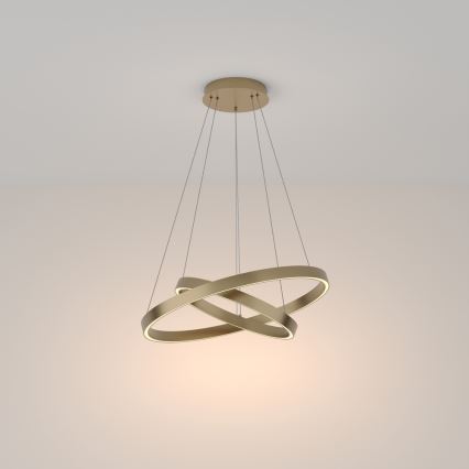 Maytoni MOD058PL-L55BS3K - LED Chandelier on a string RIM LED/61W/230V 3000K d. 60 cm gold