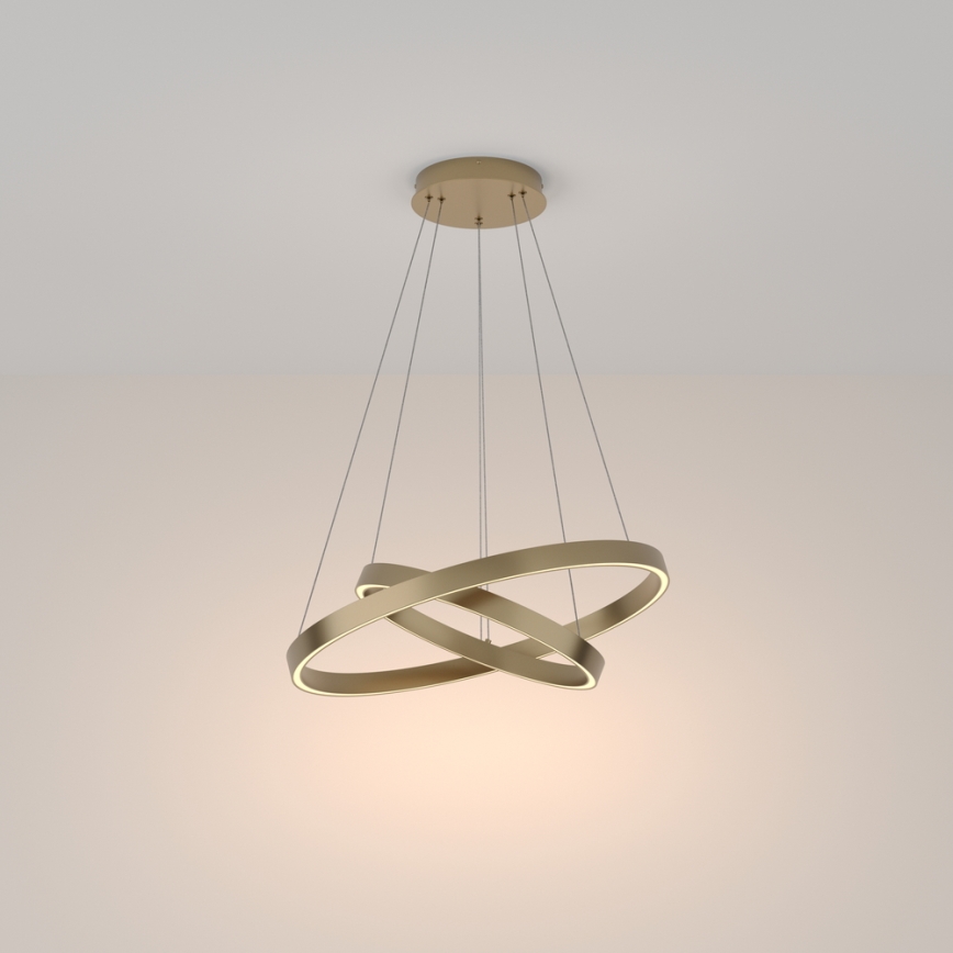 Maytoni MOD058PL-L55BS3K - LED Chandelier on a string RIM LED/61W/230V 3000K d. 60 cm gold