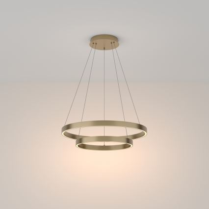 Maytoni MOD058PL-L55BS3K - LED Chandelier on a string RIM LED/61W/230V 3000K d. 60 cm gold
