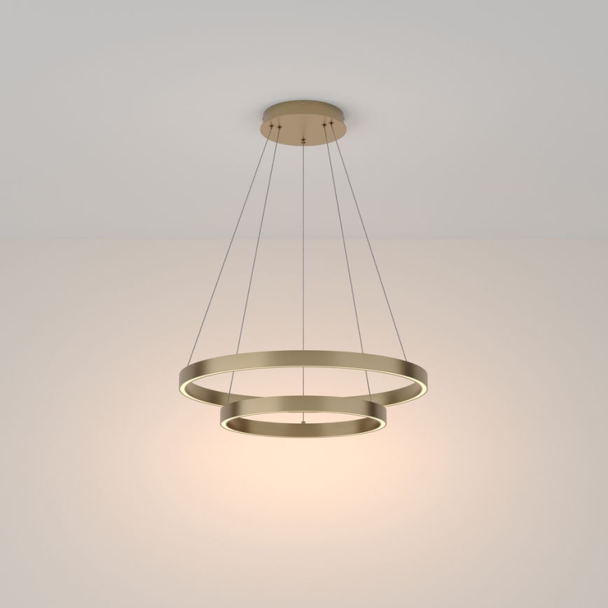 Maytoni MOD058PL-L55BS3K - LED Chandelier on a string RIM LED/61W/230V 3000K d. 60 cm gold