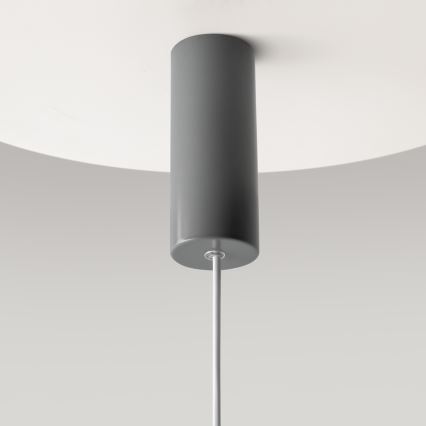 Maytoni MOD189PL-L12GR3K1 - GERHARD LED cable-suspended pendant light LED/19W/230V Ø 30 cm grey