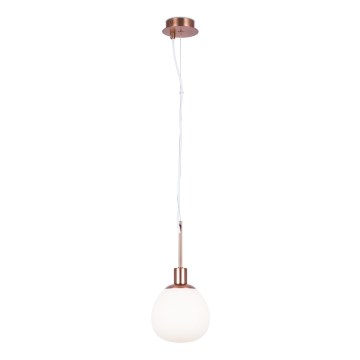 Maytoni MOD221-PL-01-G - Chandelier on a string ERICH 1xE14/40W/230V copper