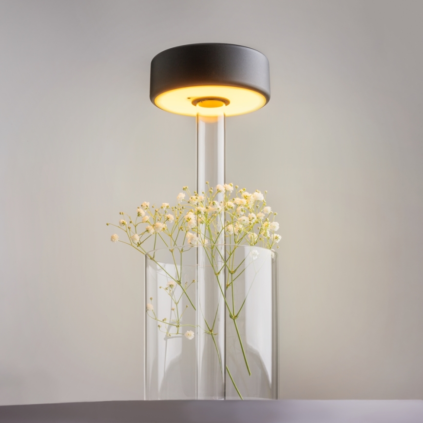 Maytoni MOD229TL-L3B3K1 - LED Dimmable rechargeable portable table lamp LED/3W/5V 2200-4000K black/clear