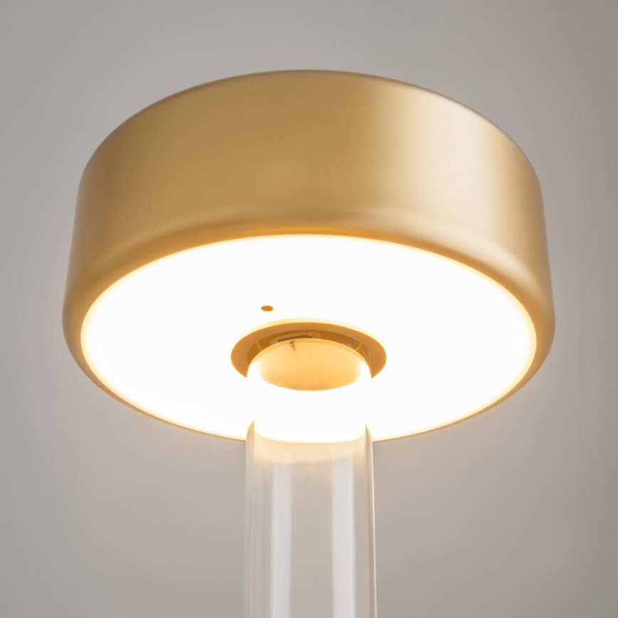 Maytoni MOD229TL-L3G3K1 - LED Dimmable rechargeable portable table lamp LED/3W/5V 2200-4000K gold/clear