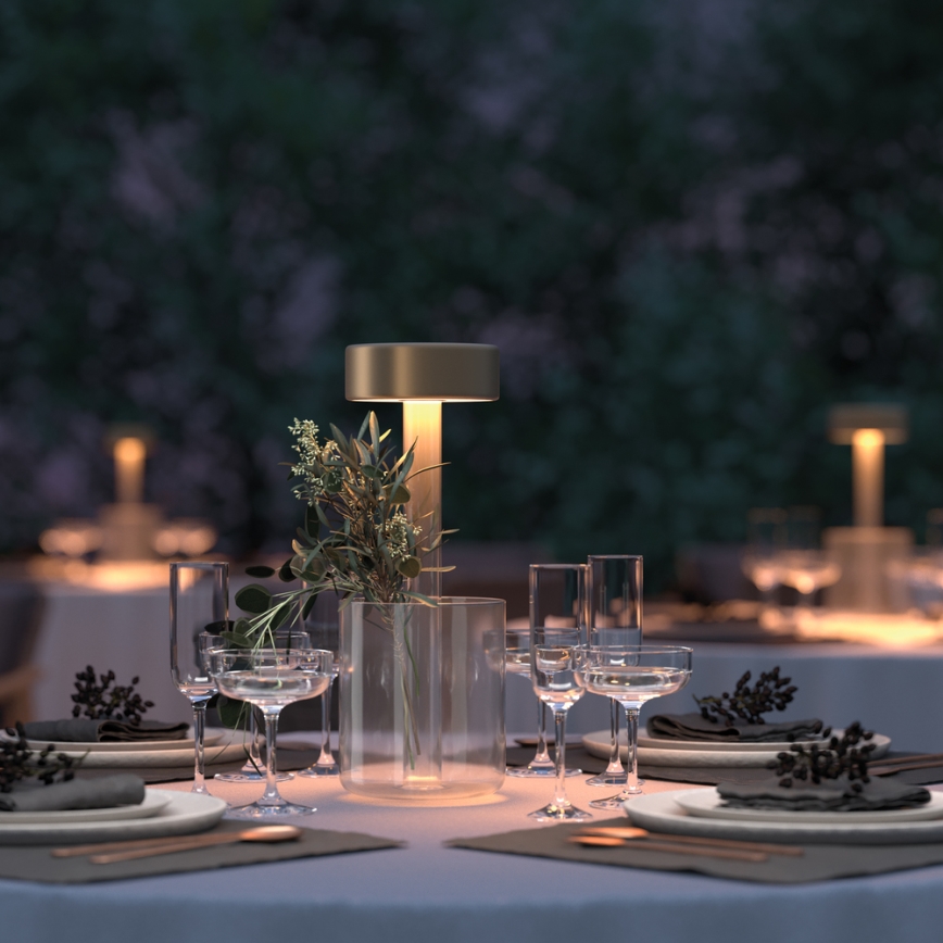 Maytoni MOD229TL-L3G3K1 - LED Dimmable rechargeable portable table lamp LED/3W/5V 2200-4000K gold/clear