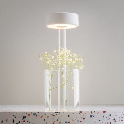 Maytoni MOD229TL-L3W3K1 - LED Dimmable rechargeable portable table lamp LED/3W/5V 2200-4000K white/clear