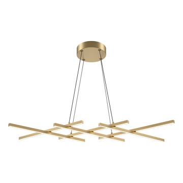 Maytoni MOD244PL-L50BSK - HALO LED pendant light on cable LED/40W/230V gold