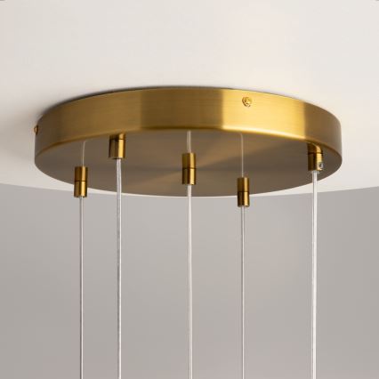 Maytoni MOD254PL-05BS - Chandelier on a string FROZEN 5xG4/28W/230V brass