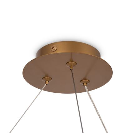 Maytoni MOD317PL-06G - Chandelier on a string BALANCE 6xG9/40W/230V copper