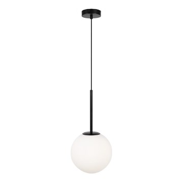 Maytoni MOD321PL-01B1 - Chandelier on a string BASIC 1xE14/40W/230V black