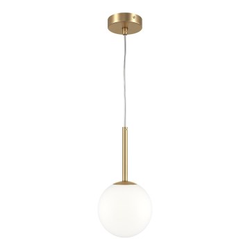 Maytoni MOD321PL-01G1 - Chandelier on a string BASIC 1xE14/40W/230V gold