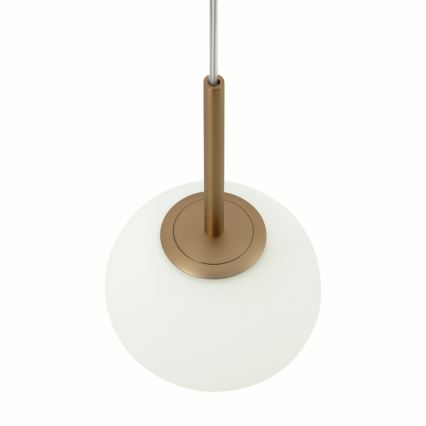 Maytoni MOD321PL-01G1 - Chandelier on a string BASIC 1xE14/40W/230V gold