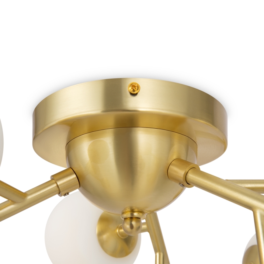 Maytoni MOD545CL-12BS - DALLAS Ceiling Light 12xG9/28W/230V, Gold Finish