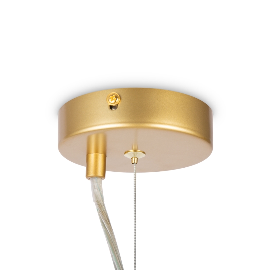 Maytoni MOD545PL-06G - Chandelier on a string DALLAS 6xG9/28W/230V brass