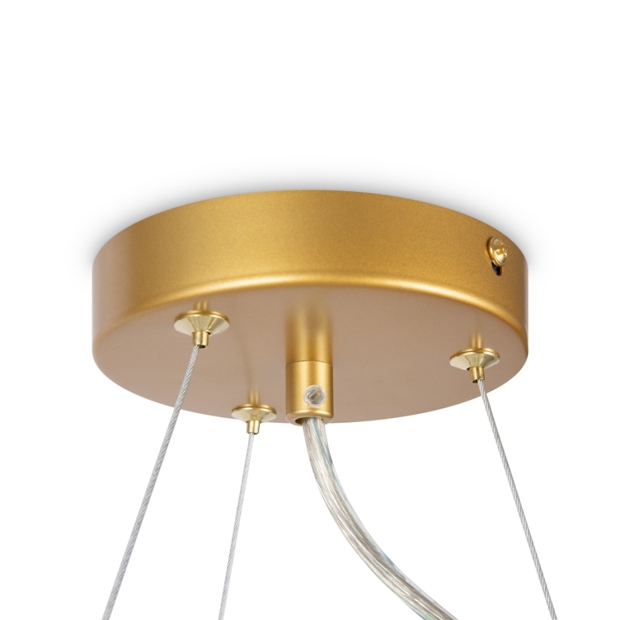 Maytoni MOD545PL-11G - Chandelier on a string DALLAS 11xG9/28W/230V brass