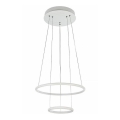 Maytoni MOD807-PL-02-36-W - LED Chandelier on a string NOLA LED/36W/230V