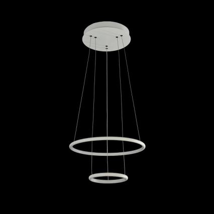 Maytoni MOD807-PL-02-36-W - LED Chandelier on a string NOLA LED/36W/230V