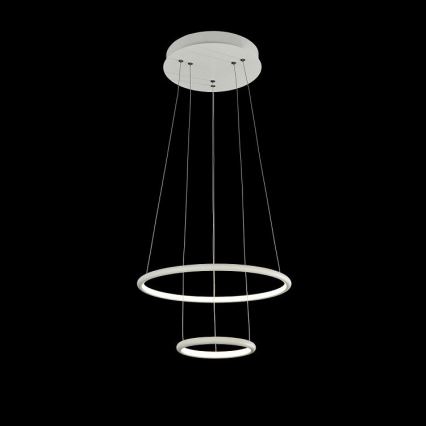 Maytoni MOD807-PL-02-36-W - LED Chandelier on a string NOLA LED/36W/230V