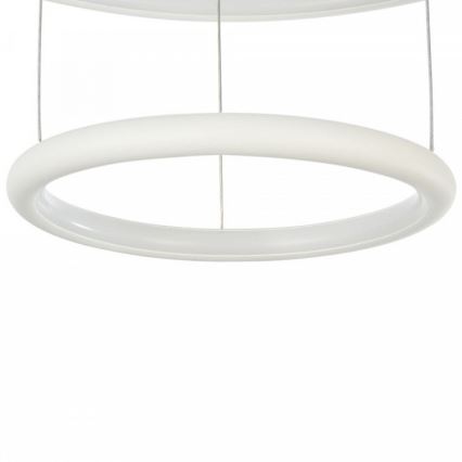 Maytoni MOD807-PL-02-36-W - LED Chandelier on a string NOLA LED/36W/230V
