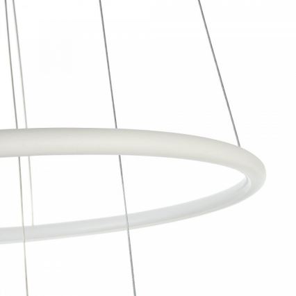 Maytoni MOD807-PL-02-36-W - LED Chandelier on a string NOLA LED/36W/230V