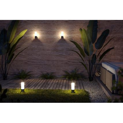 Maytoni O418WL-01B - Outdoor wall light WILLIS 1xE27/60W/230V IP54 black