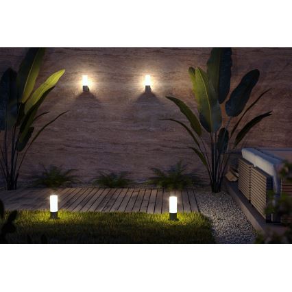 Maytoni O418WL-01GR - Outdoor wall light WILLIS 1xE27/60W/230V IP54 anthracite