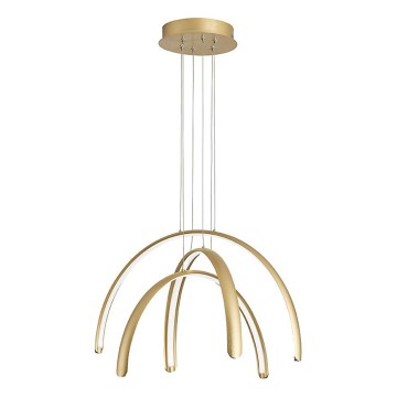 MEGAN LED Cable Pendant 41W/230V, Gold