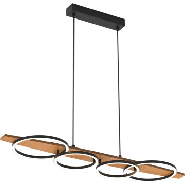 MELISA LED/35W/230V Pine Cable Pendant Light
