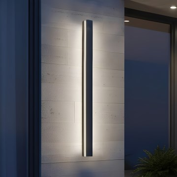 MIRANA LED Outdoor Wall Light, 25W, 230V, 4000K, IP44, 120 cm, Black