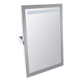 Mirror 40 x 60 cm, stainless steel/silver