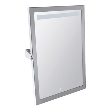 Mirror 40 x 60 cm, stainless steel/silver