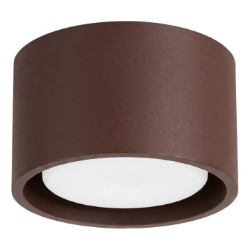 MODO Spotlight 1xGX53/10W/230V, brown