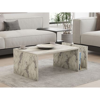 MONEL Coffee Table – Gray Marble Finish
