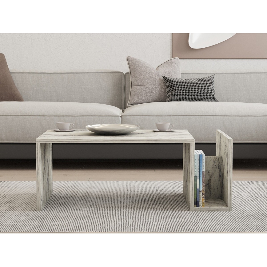 MONEL Coffee Table – Gray Marble Finish