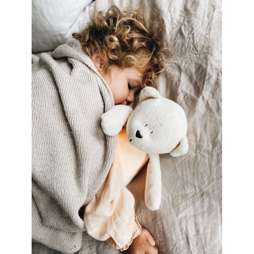 Moonie - Snuggle buddy with a melody and light bear silver