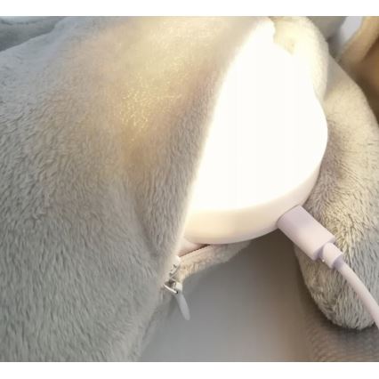 Moonie - Snuggle buddy with a melody and light bear silver