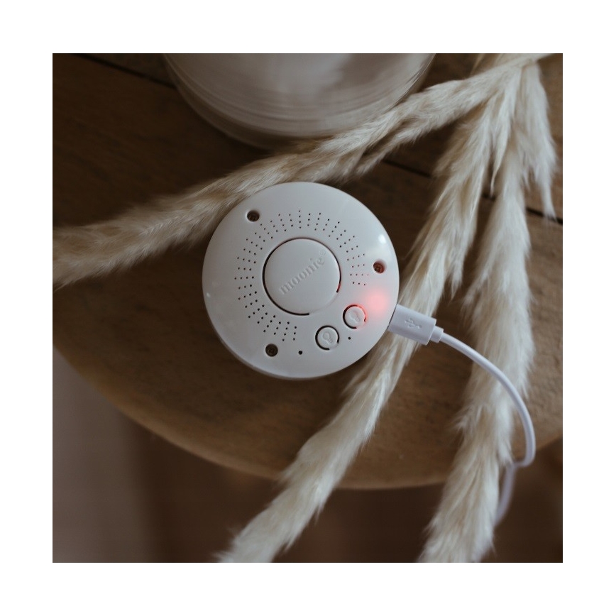 Moonie - Snuggle buddy with a melody and light bear silver