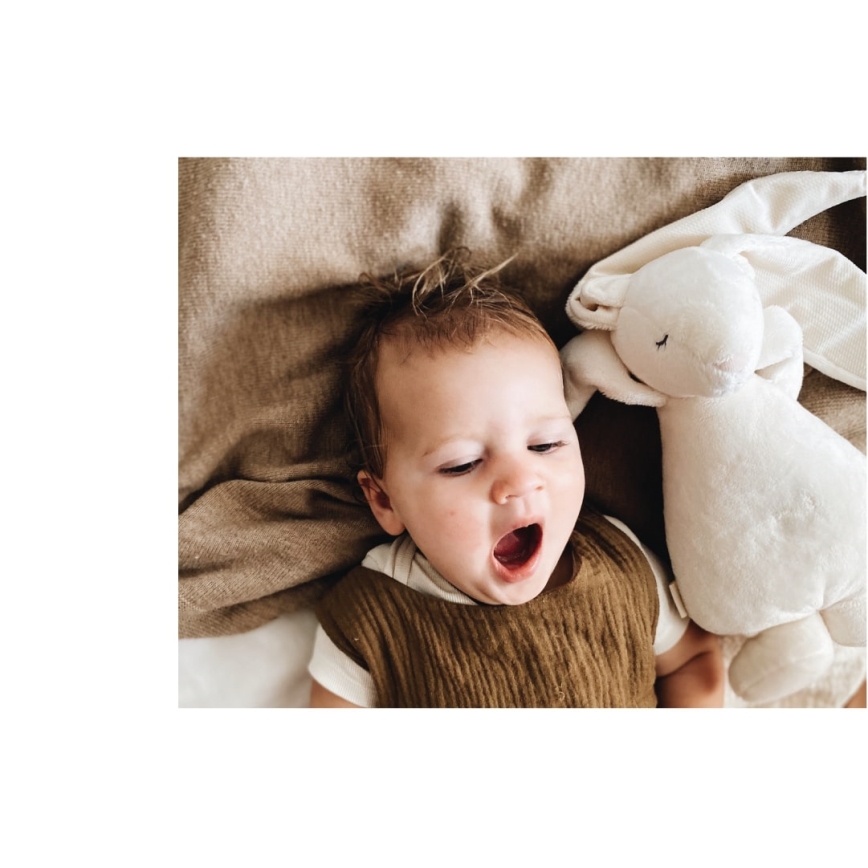 Moonie - Snuggle buddy with a melody and light bunny cream