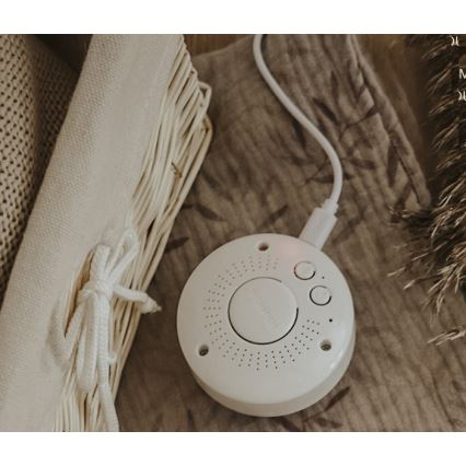 Moonie - Snuggle buddy with a melody and light bunny powder