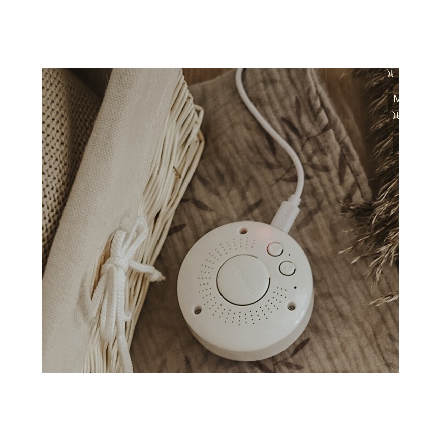Moonie - Snuggle buddy with a melody and light bunny powder