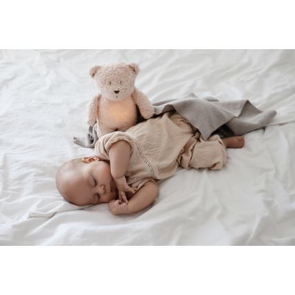 Moonie - Snuggle buddy with a melody and light little bear 2.0 organic polar