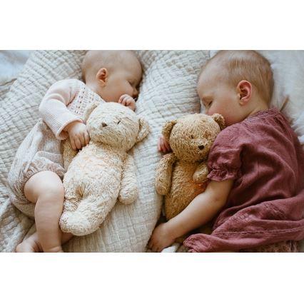 Moonie - Snuggle buddy with a melody and light little bear 2.0 organic polar