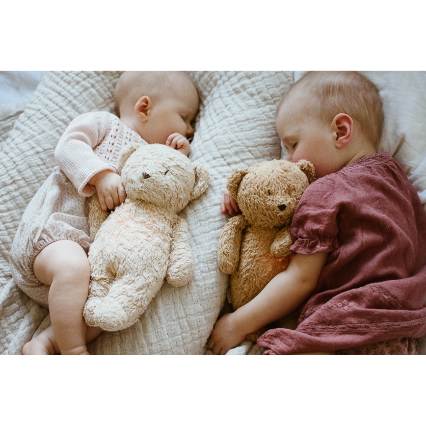 Moonie - Snuggle buddy with a melody and light little bear 2.0 organic polar