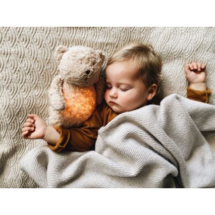 Moonie - Snuggle buddy with a melody and light little bear organic honey natur
