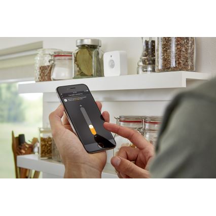Motion sensor Philips Hue 2xAAA IP42