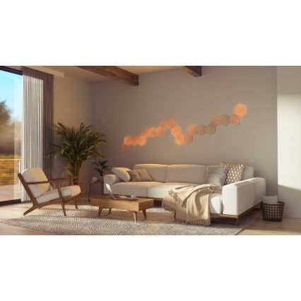 Nanoleaf - SET 13x LED Dimmable panel HEXAGONS LED/2W/230V Wi-Fi