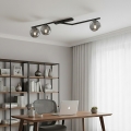 NATON Ceiling Light 3x E14/10W/230V Black/Smoked